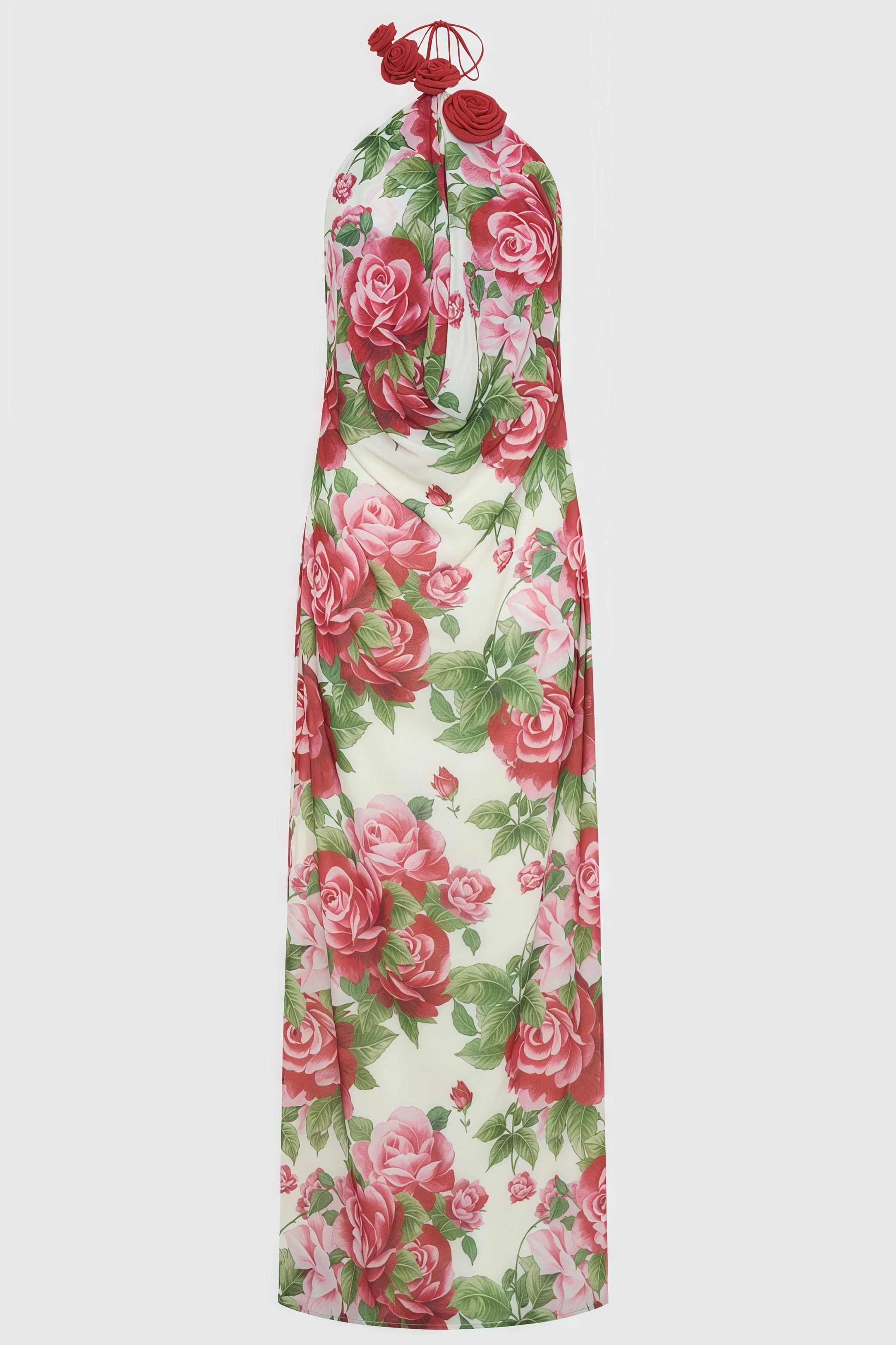 Ysraela Cowl Neck 3D Floral Maxi Dress