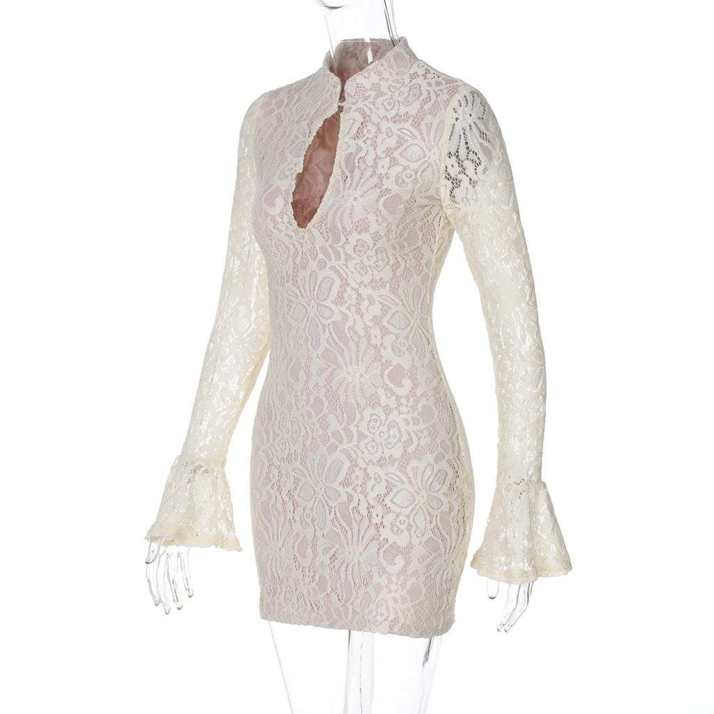 Lace Printed Hollow Out Long Sleeve Dress