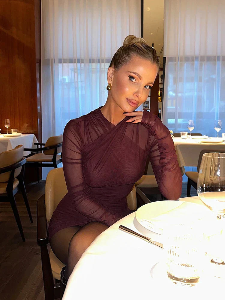 Mesh Solid Long Sleeves Folds Mini Dress