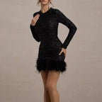 Long Sleeve Slim Sequins Feather Dress
