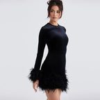 Long Sleeve Slim Sequins Feather Dress