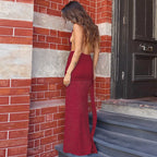 Halter Deep V Neck Lace Sleeveless Long Dress