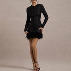 Long Sleeve Slim Sequins Feather Dress