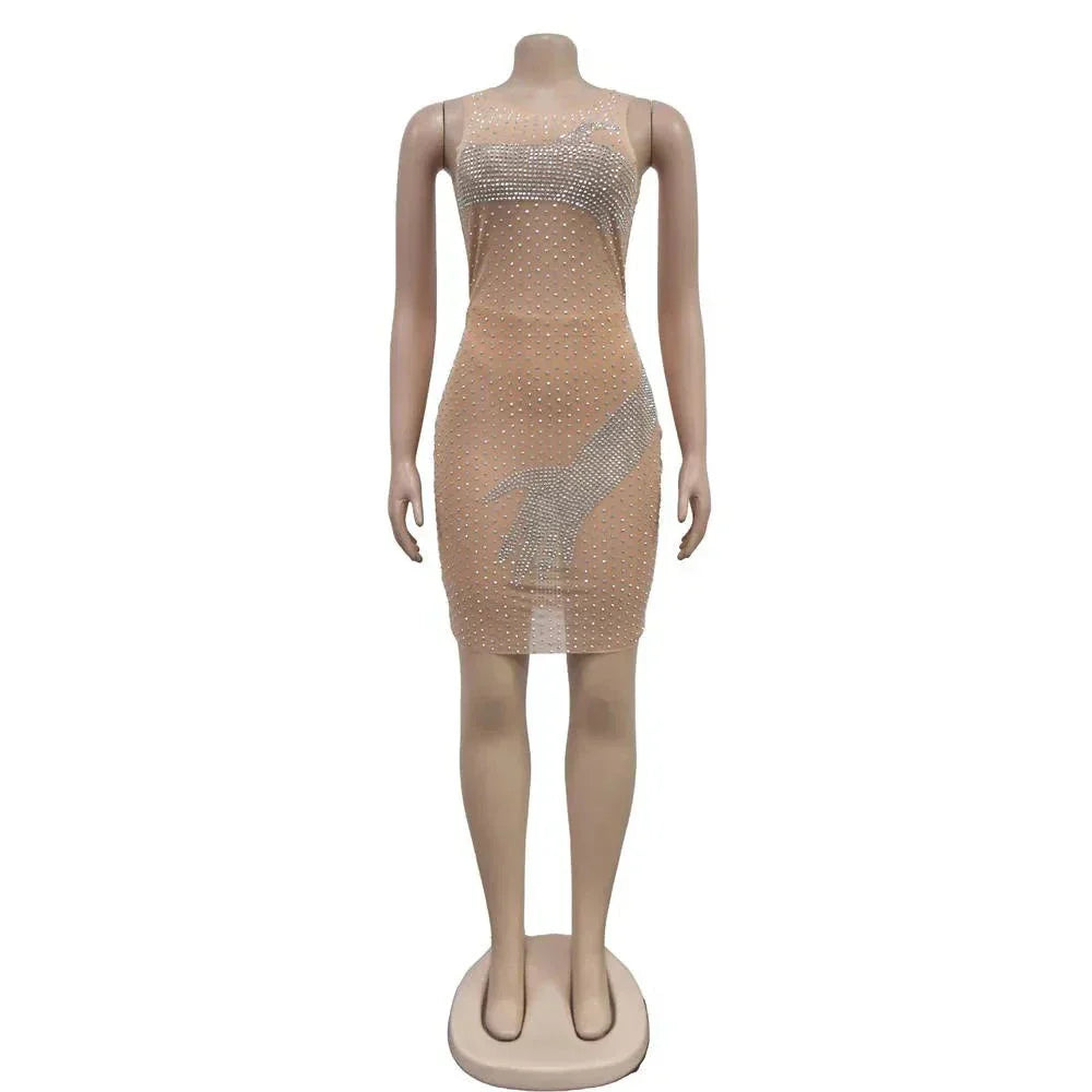 Mesh Rhinestone Round Neck Sleeveless Mini Dress