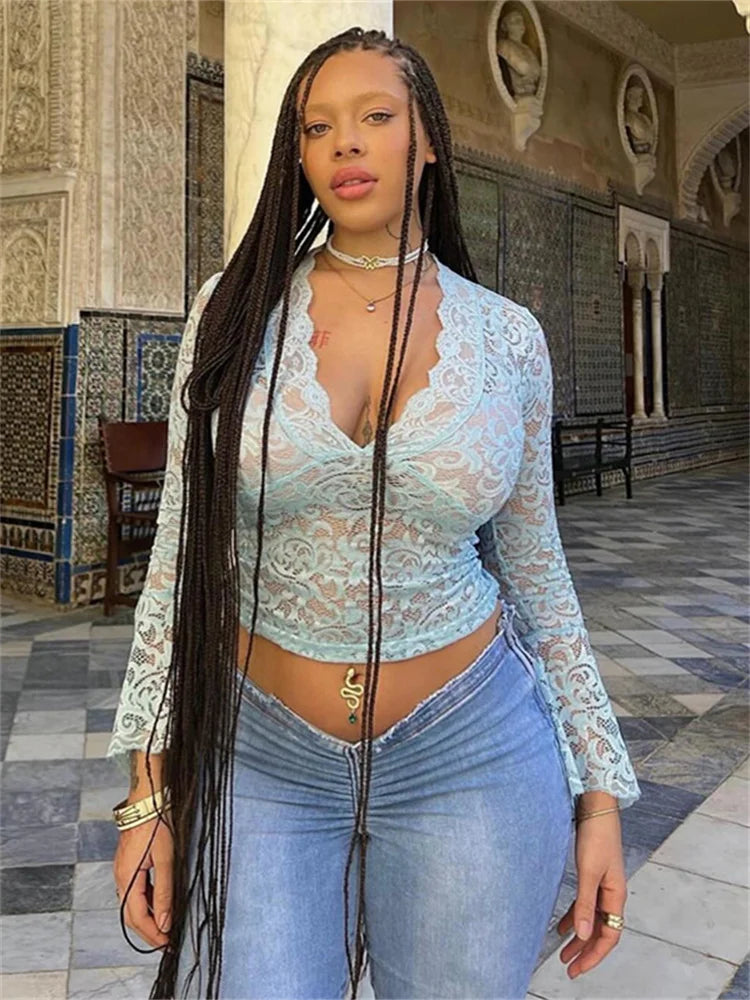 Flare Sleeve Lace VNeck Sheer Top