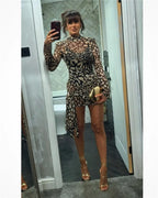 Mesh Leopard Print Turtleneck Mini Dress