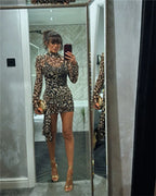 Mesh Leopard Print Turtleneck Mini Dress
