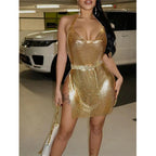 Glitter Solid Sleeveless Bodycon Mini Dress