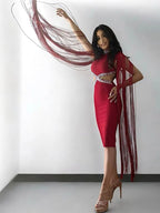 Fringe Sleeve Tassel Sequined Midi Dress