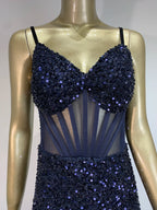 Mesh Sequins Blue Feather Long Dress