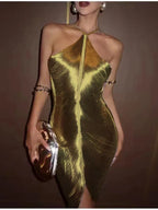 Sexy Backless Hanging Neck Tassel Mini Chic Slim Party Party Dress