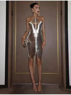 Sexy Backless Hanging Neck Tassel Mini Chic Slim Party Party Dress