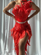 OPERA Feathers Dress