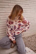 Turtle Colorblock Print Thick Sweatshirt