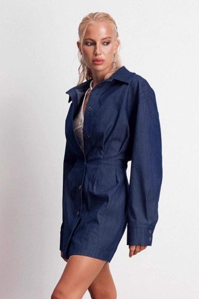 Denim Shirt A Line Mini Dress