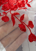 Crimson Bloom – Red Embroidered Mesh Lingerie Set with Triangle Cups