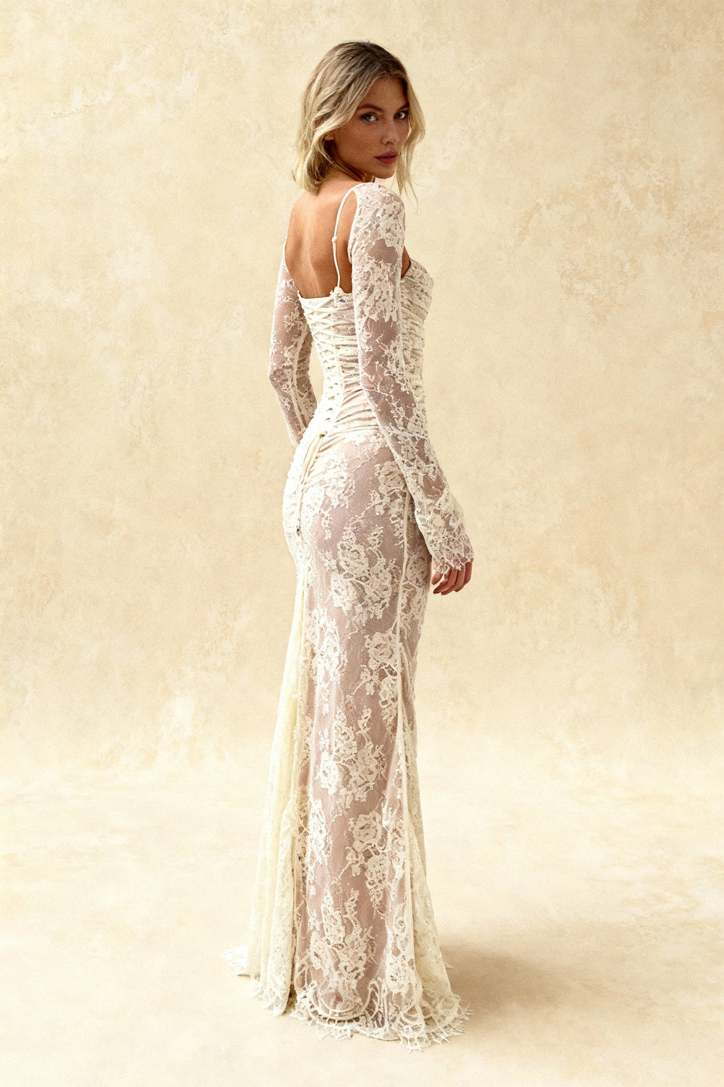 Elegant Lace Mesh Long Sleeve Lace Dress