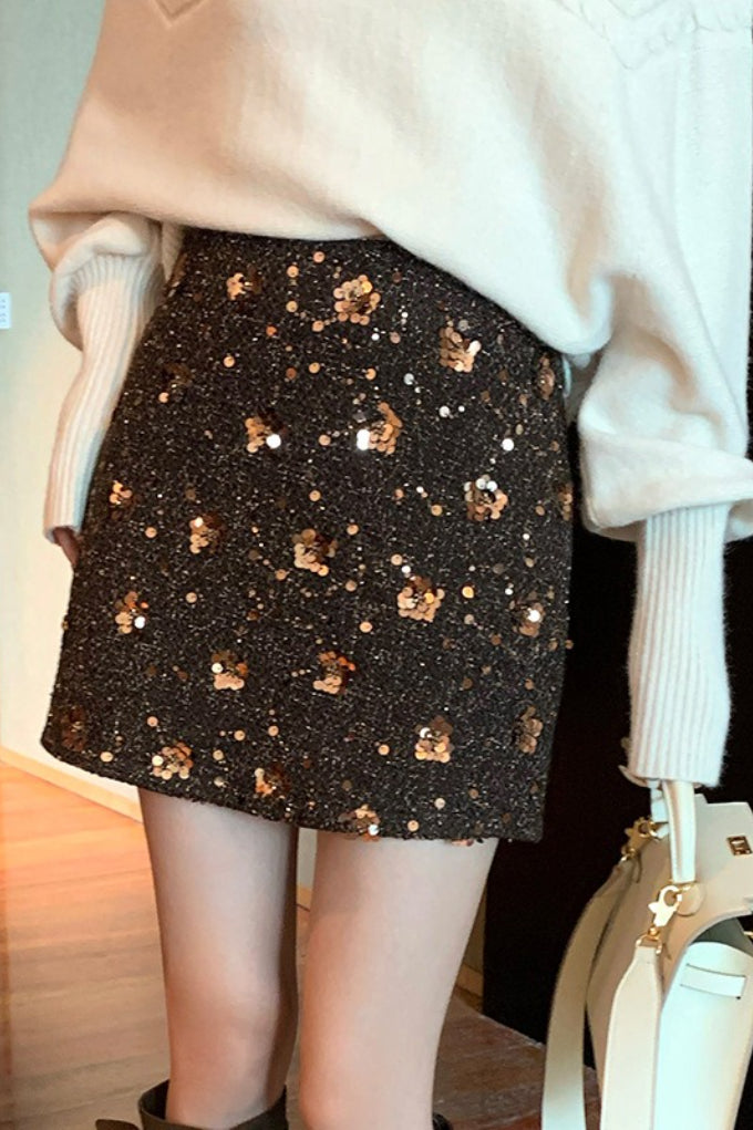 Embroidered Sequin High Waist ALine Skirt
