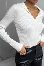 Slim Fit Polo Knit Sweater