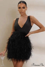 Black Plunge Stylish Front Mini Dress