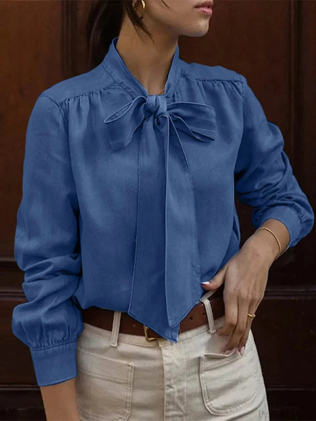 Bowtie Neck Pleating Blouse Casual Chic Blouse