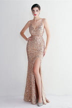 Elegant Velvet Sequin Party Dress