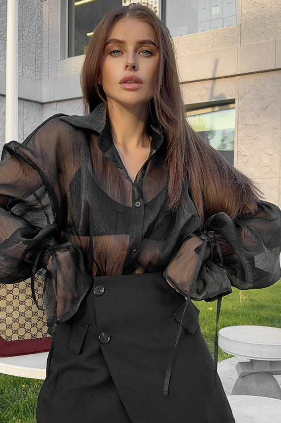 Sheer Puff Sleeve Collared Sexy Elegant Workwear Blouse