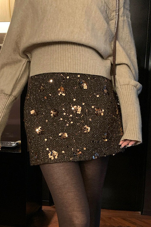 Embroidered Sequin High Waist ALine Skirt