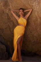 Chapman Elegant Maxi Dress