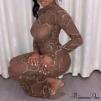 Club Bodycon See Through Long Dress