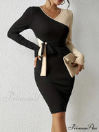 Color Block V Neck Long Sleeve Dress with Knot Detail