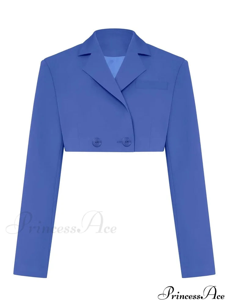 Cropped Blazer And Charming Pleated Mini Skirt Set