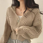 Cropped Hooded Hollow Out Knit Cardigan