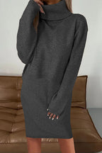 Solid Color Turtleneck Sweater and Knee Length Dress Set