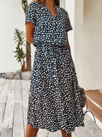 Ludmila Aesthetic Vintage Dress Chic Silhouette Collection