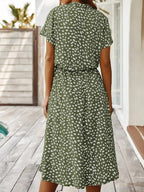 Ludmila Aesthetic Vintage Dress Chic Silhouette Collection