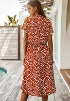 Ludmila Aesthetic Vintage Dress Chic Silhouette Collection