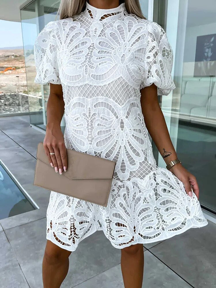 Elara Chic Stylish Puff Sleeve Lace Dress for Women Statement Occasion Edit