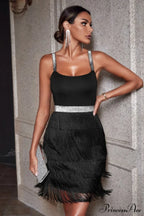 Ella Tassel Stylish Mini Dress