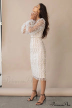 Embroidered Sheer Fitted Dress