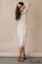 Embroidered Sheer Fitted Dress