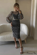 Embroidered Sheer Fitted Dress