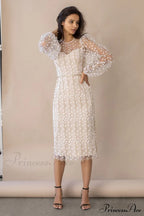 Embroidered Sheer Fitted Dress