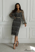 Embroidered Sheer Fitted Dress