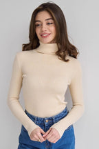 Slim Fit Knit Turtleneck Sweater