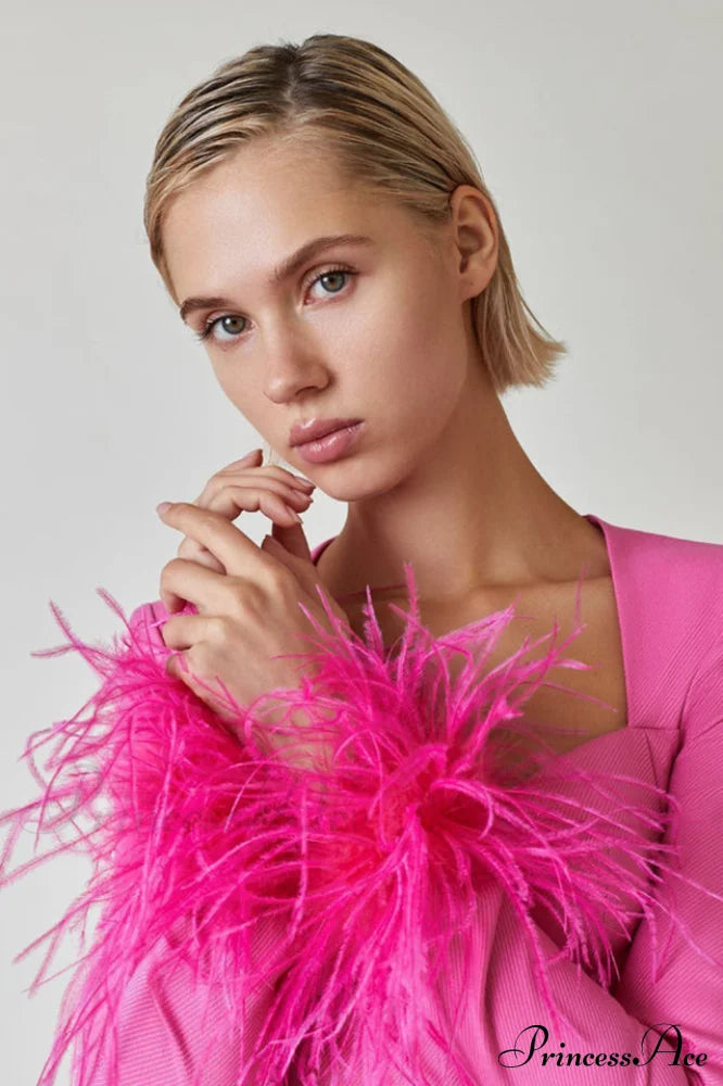 Feather Long Stylish Sleeve Bustier Dress