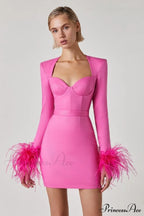 Feather Long Stylish Sleeve Bustier Dress