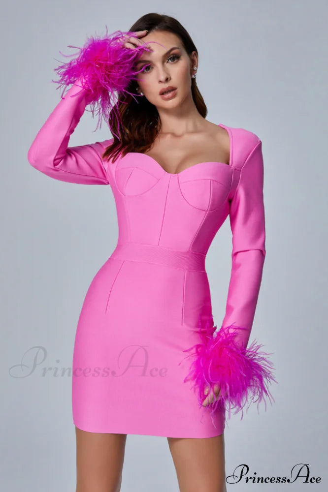 Feather Long Stylish Sleeve Bustier Dress