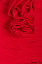 Genevieve Rose Stylish Ruched Dress