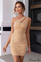 Glitter Gala Stylish Bodycon Mini Dress